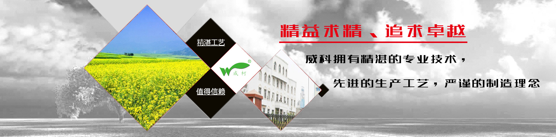 威科油脂化学